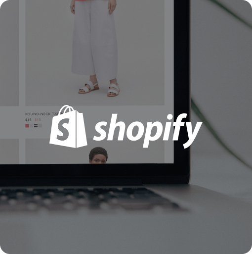 Appybros e-commerce Service With Shopify